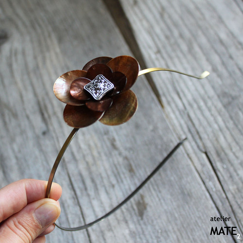 Brachium enmendo — foto 4