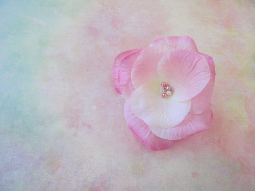 Dream — foto 2