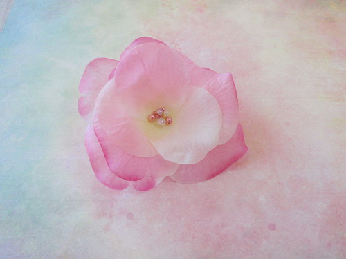 Dream — foto 4