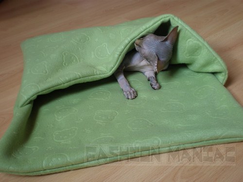 Fusak pro Sphynx — foto 2