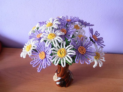 Astra alpská — foto 3
