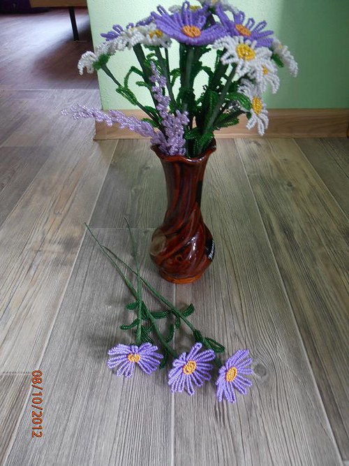 Astra alpská — foto 5