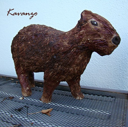 Kapybara — foto 2