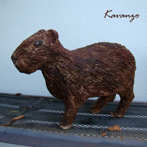 Kapybara — foto 3