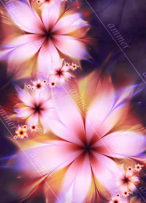 Lilie — foto 6
