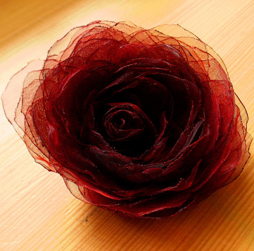 Where the wild red roses grow .... — foto 2