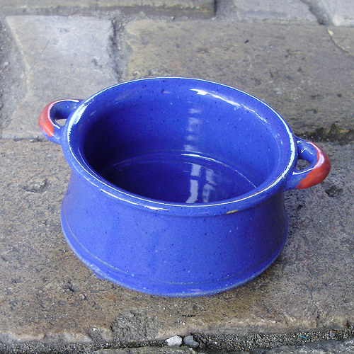 Ušatá modračka — foto 2