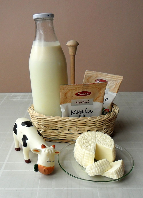 Košík kořenkovník — foto 3