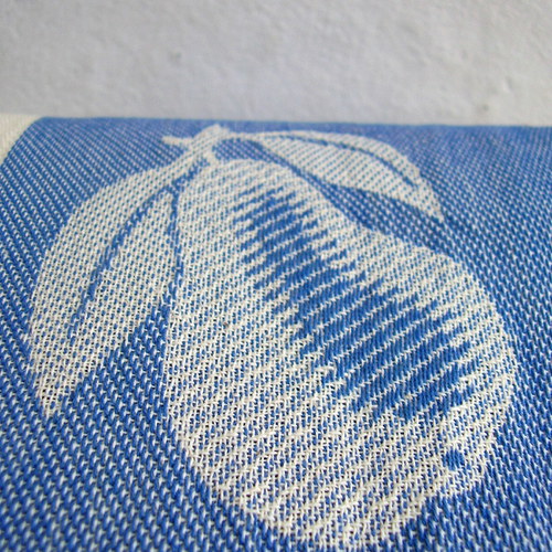 Modrý hrušky - text.panel (metráž) — foto 3