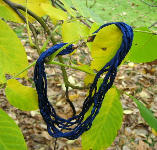 Modrá — foto 3