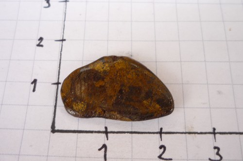 Bronzit L7097 — foto 2