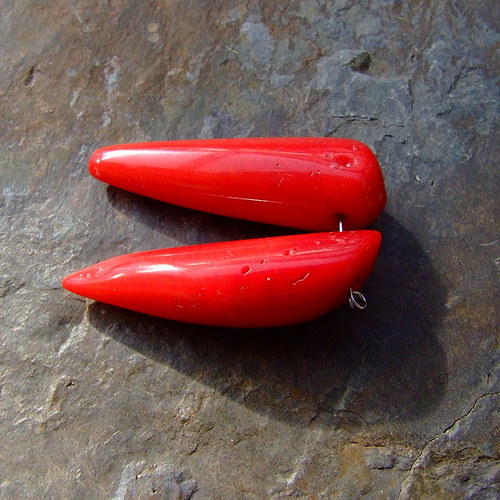 Korál: chilli papričky — foto 2