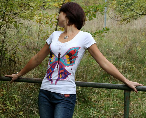 Motýl poněkud barevný — foto 2