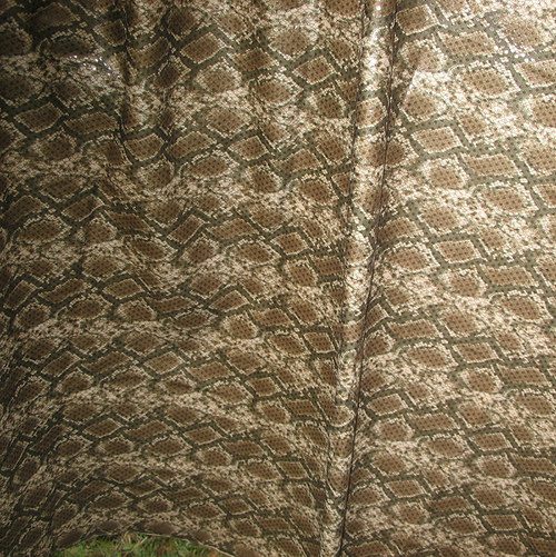 Had — foto 3