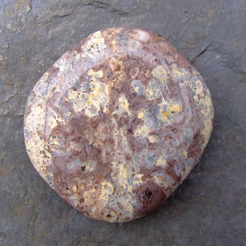 Jaspis Leopardí — foto 2