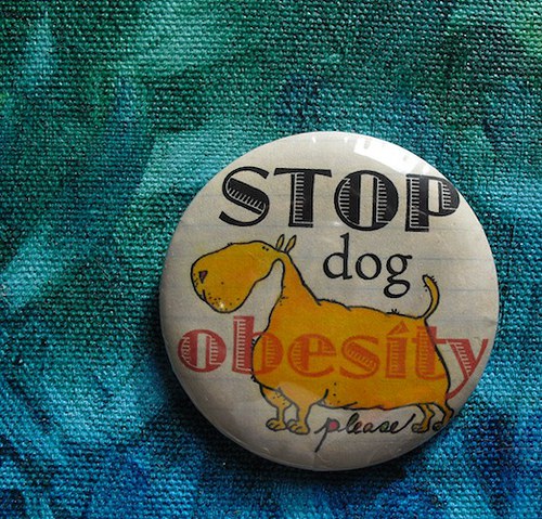 Placka - "stop dog obesity" — foto 2