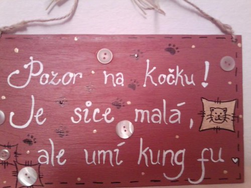 Cedulka - Kočka — foto 2