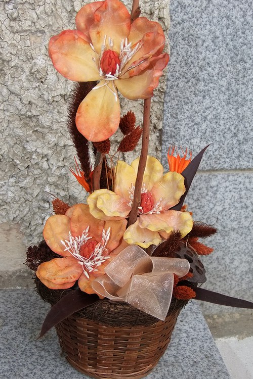 Magnolie na třetí — foto 2