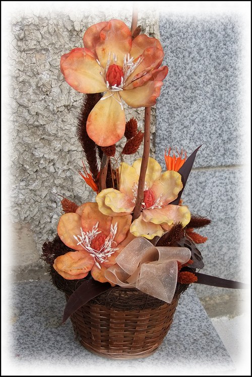 Magnolie na třetí — foto 3