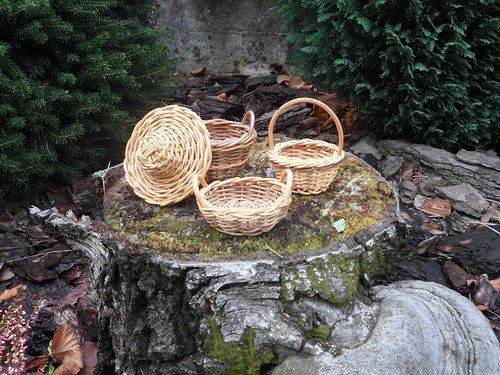 Farmářská minisada — foto 5