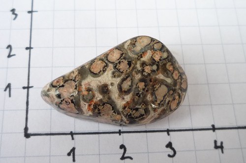 Jaspis leopardí L7305 — foto 3