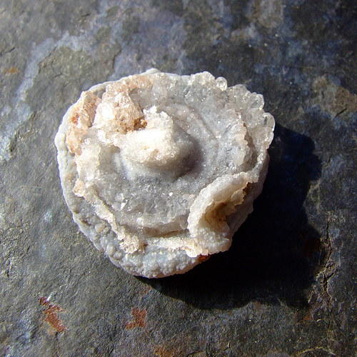 Achát hadí — foto 2
