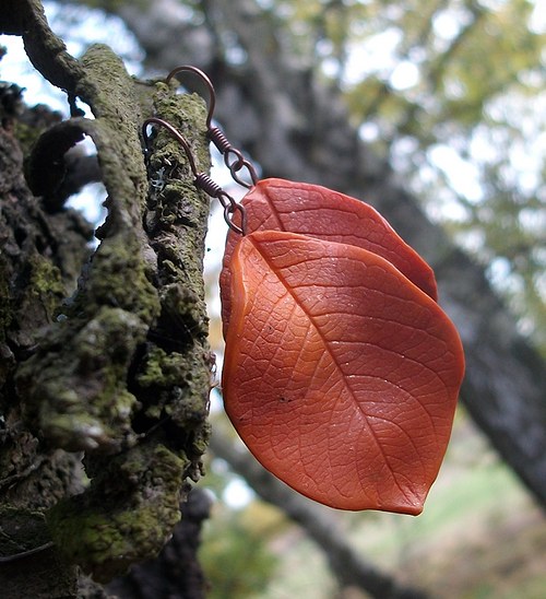 Lístky baculky.. — foto 3