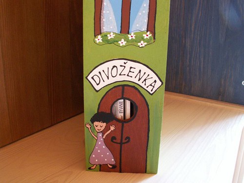 Maľovaný šanón - Divoženka — foto 2