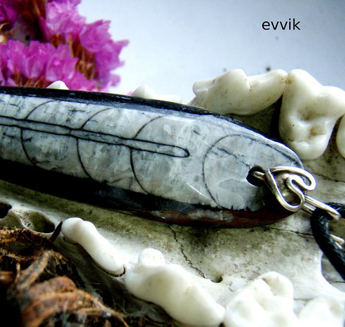 Exklusivní orthoceras — foto 2