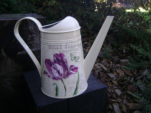 Tulipán — foto 2
