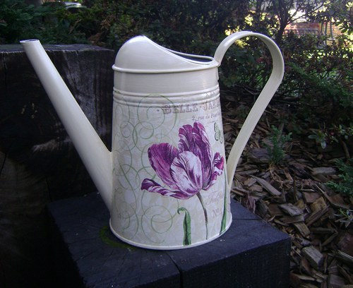 Tulipán — foto 3
