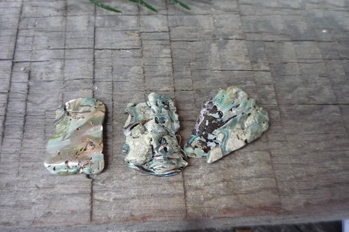 3x paua mušle č. L7377 — foto 2