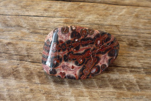 Jaspis leopardí L7392 — foto 2