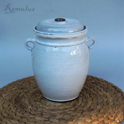 Kvašák bílý (2,2 l) — foto 2