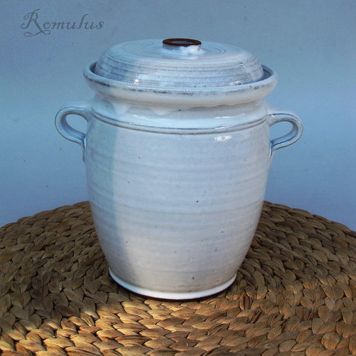 Kvašák bílý (1,6 l) — foto 6