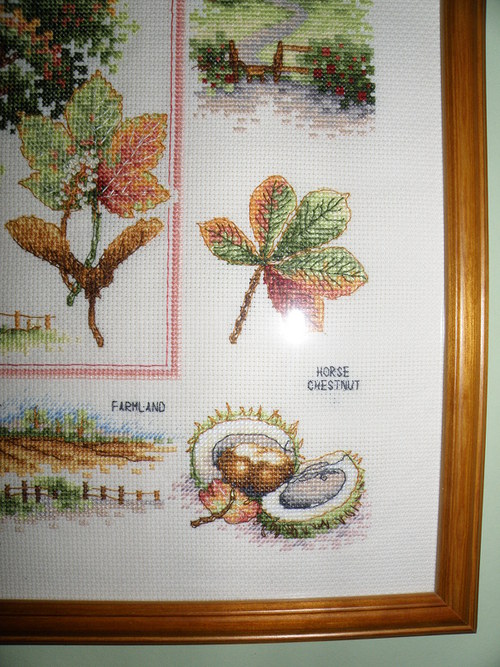 Podzimní okouzlení 1 — foto 2