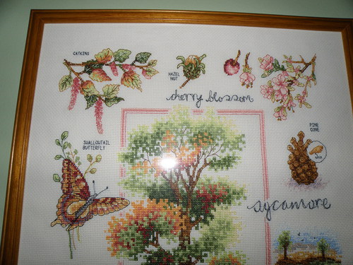 Podzimní okouzlení 1 — foto 3