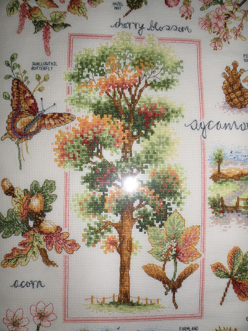 Podzimní okouzlení 1 — foto 4