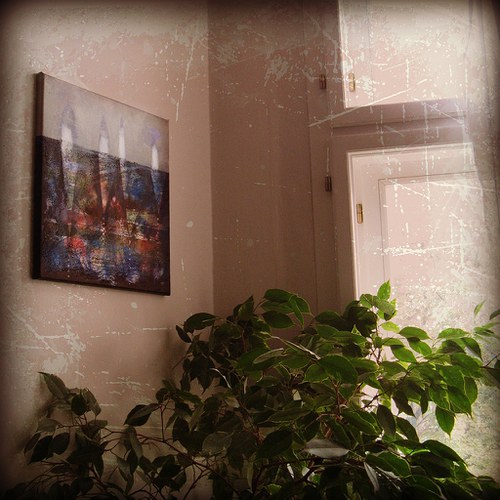 Čtyři houbičky — foto 5
