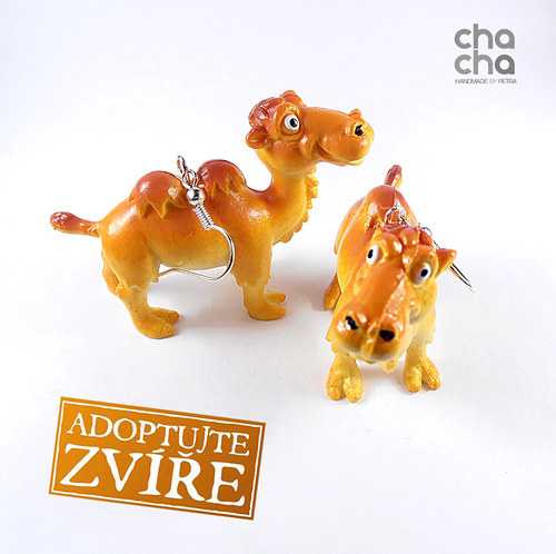 Adoptujte zvíře! - velbloudi — foto 2