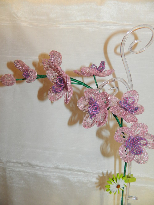 Orchidej — foto 4