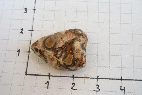 Jaspis leopardí L7446 — foto 3