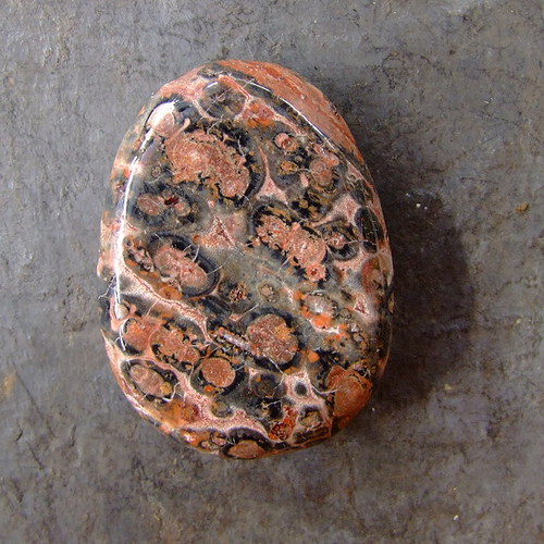 Jaspis Leopardí — foto 2