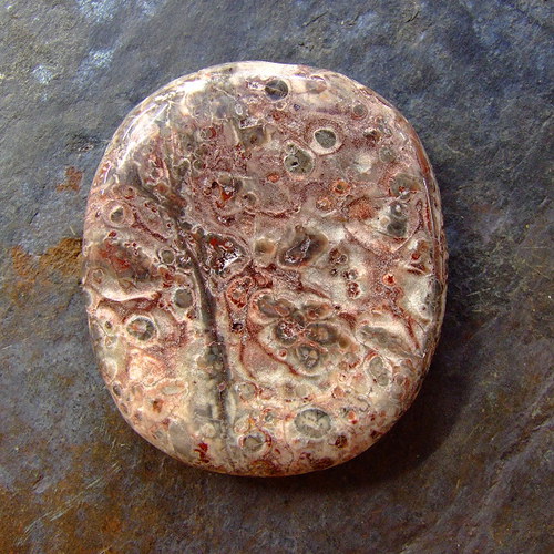 Jaspis Leopardí — foto 2
