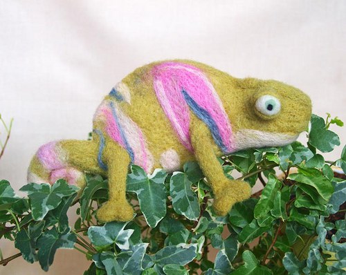 Chameleon — foto 4