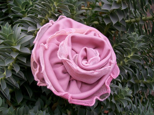 Rosa Ballerina — foto 4