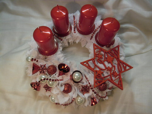 Adventní červený zvonečkový — foto 5