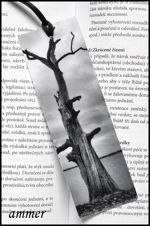 Záložka Samotář — foto 3
