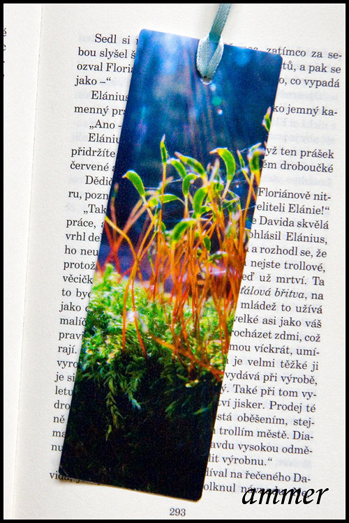 Záložka Rašení — foto 5