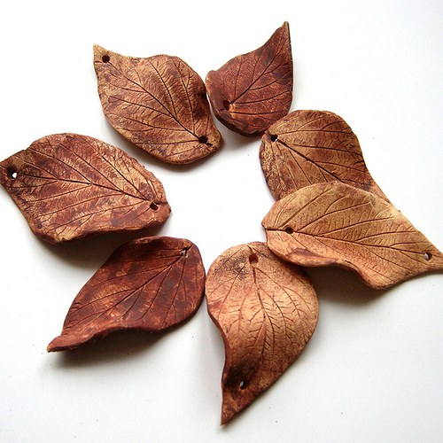 Listopad — foto 2